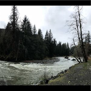 Meet your Posher, Jeanette